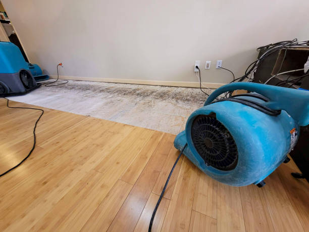 Professional Water Damage Repair technician working in Tea, SD